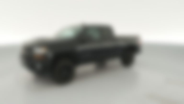 2019 Chevrolet Silverado 1500 LD Double Cab vehicle photo