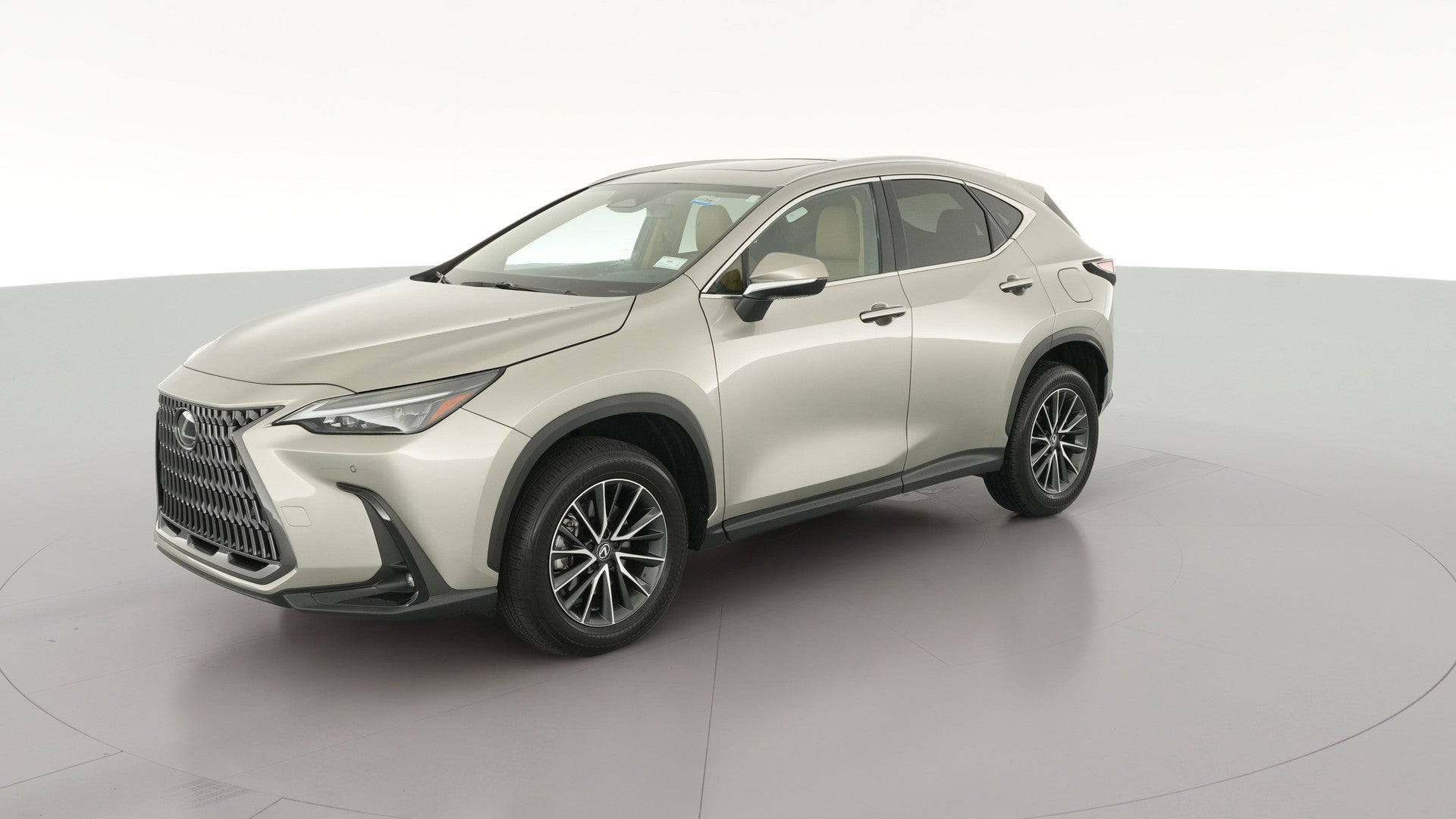 2025 Lexus NX vehicle photo