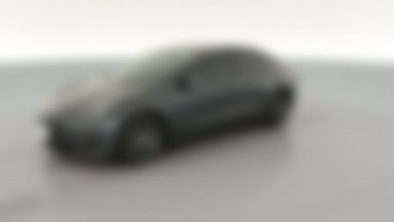 2021 Tesla Model 3 vehicle photo