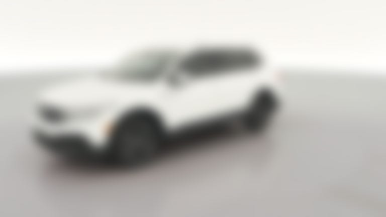 2024 Volkswagen Tiguan vehicle photo