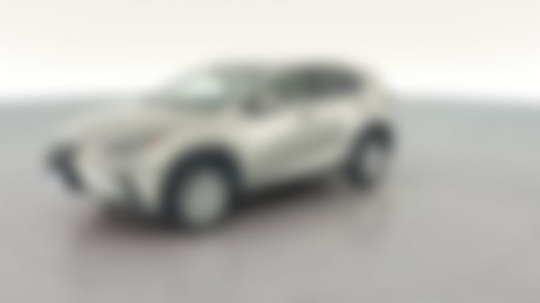 2019 Lexus NX vehicle photo