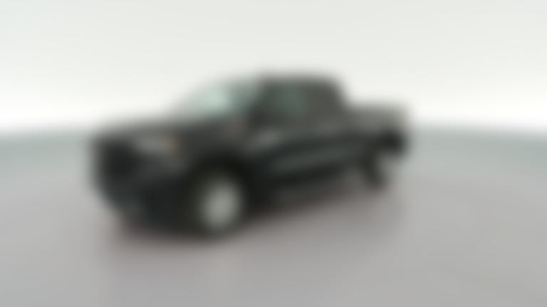 2020 Chevrolet Silverado 1500 Double Cab vehicle photo