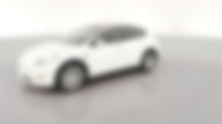 2023 Tesla Model Y vehicle photo