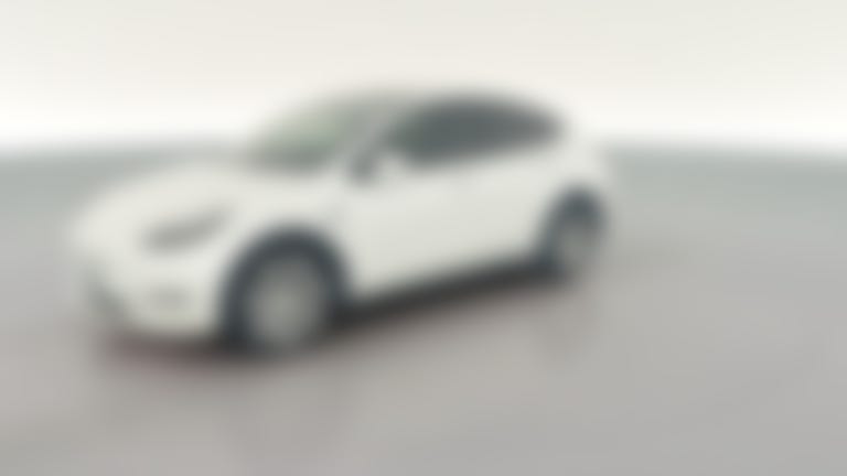 2023 Tesla Model Y vehicle photo