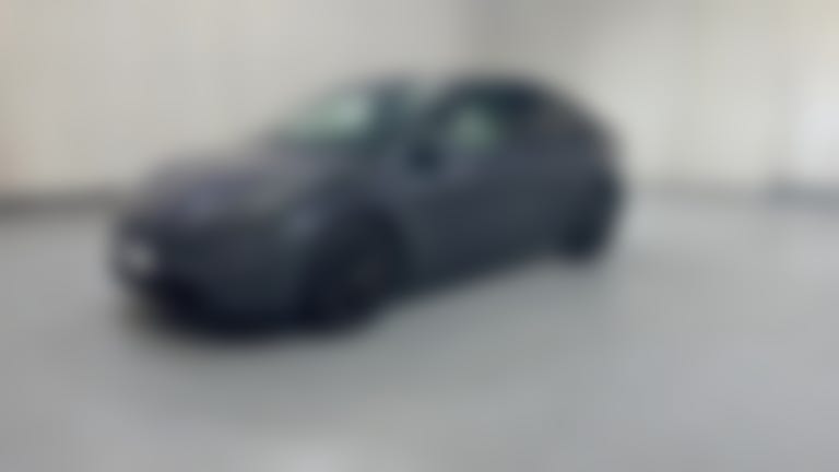2021 Tesla Model Y vehicle photo