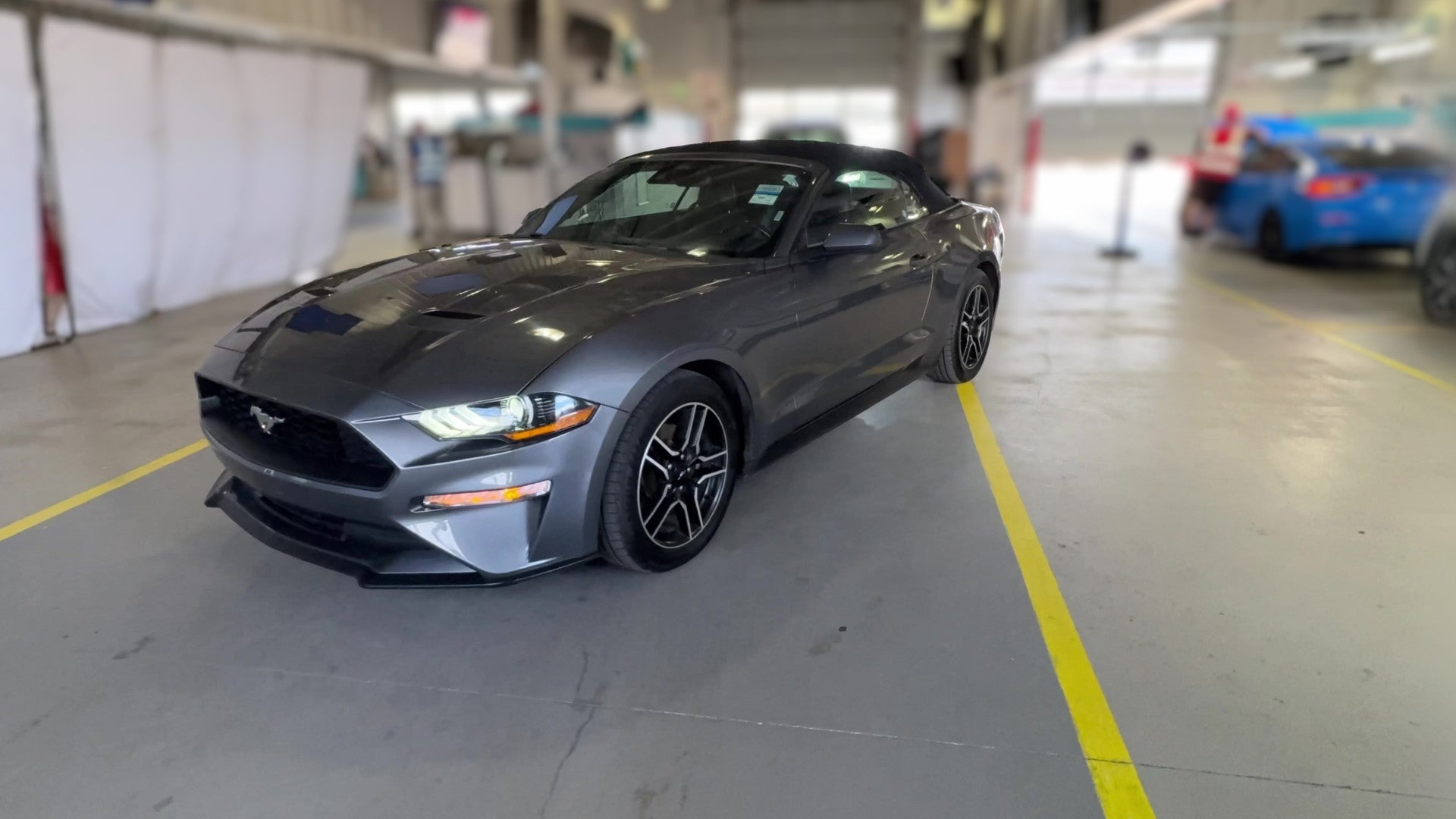 2023 Ford Mustang vehicle photo