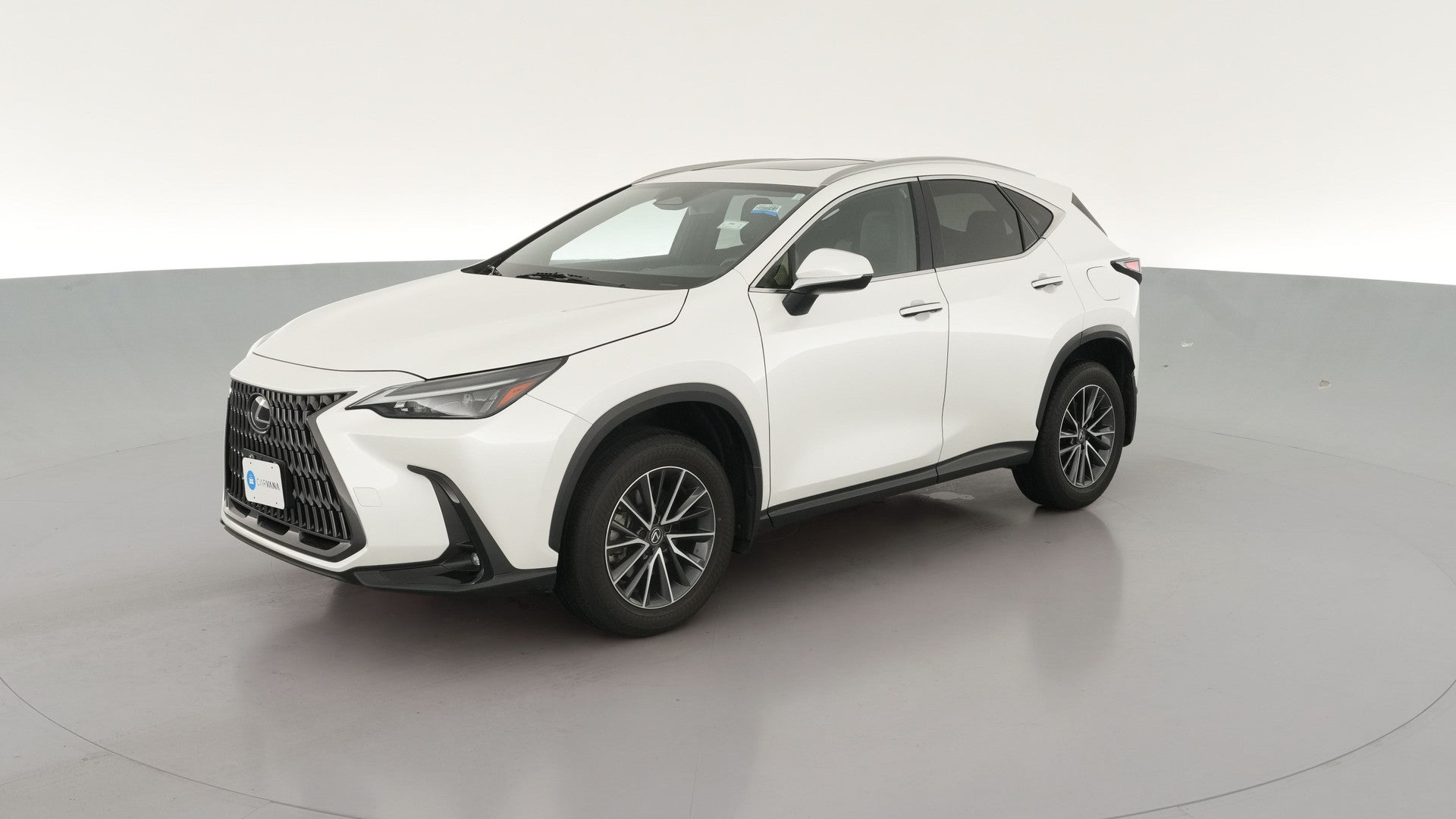 2024 Lexus NX vehicle photo