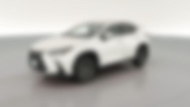 2024 Lexus NX vehicle photo