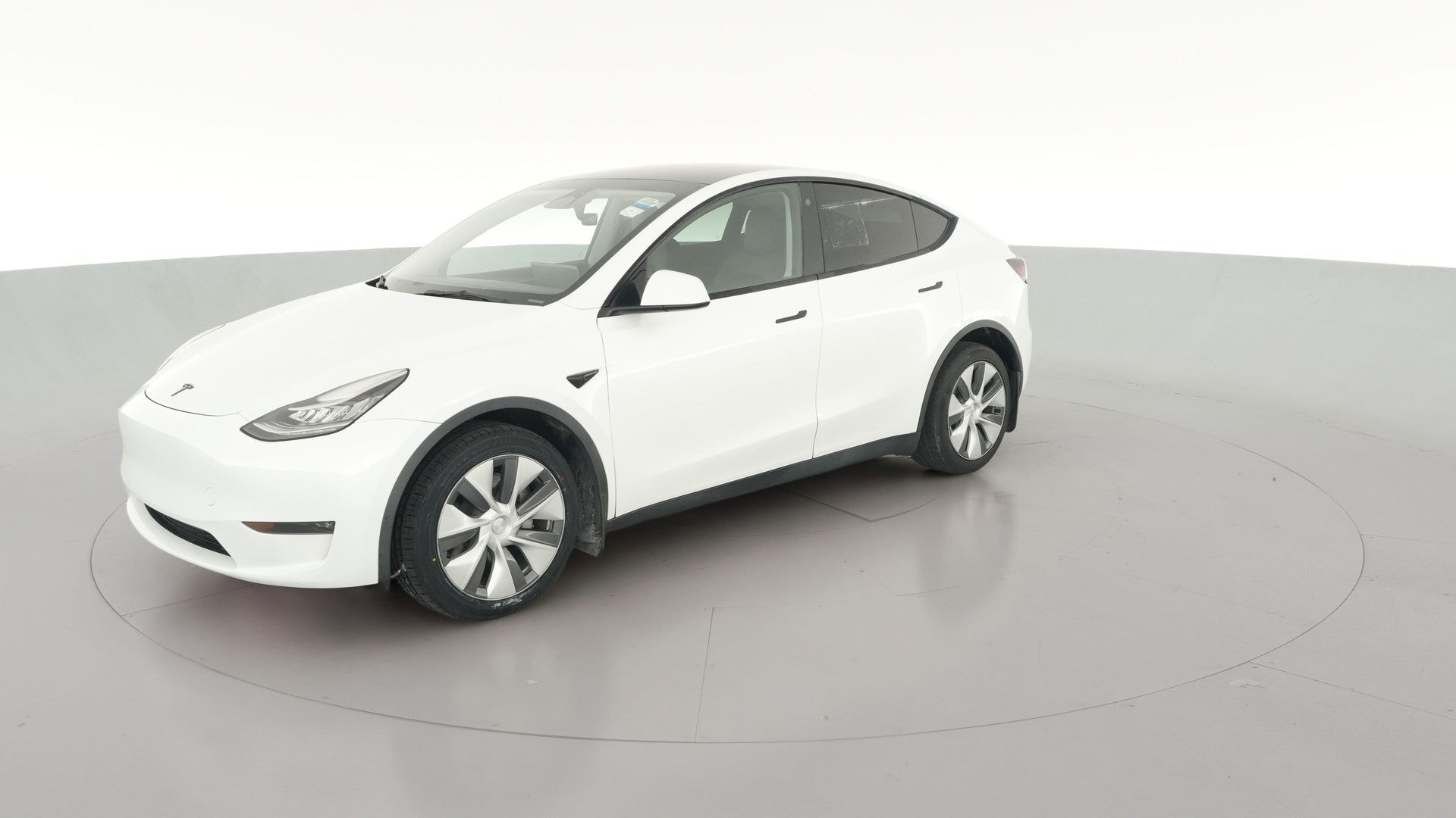 2023 Tesla Model Y vehicle photo
