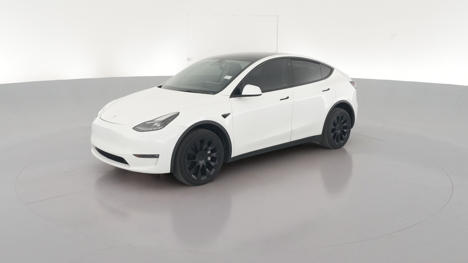 2023 Tesla Model Y vehicle photo