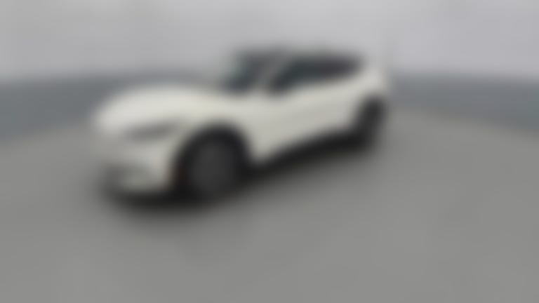 2023 Ford Mustang MACH-E vehicle photo