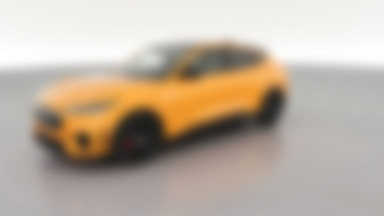 2021 Ford Mustang MACH-E vehicle photo