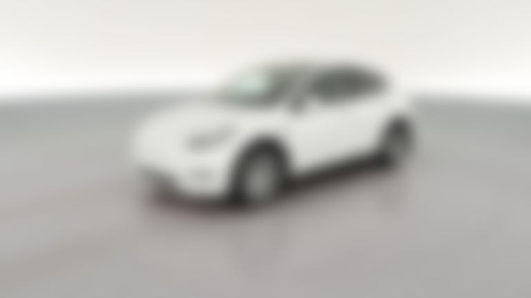 2023 Tesla Model Y vehicle photo