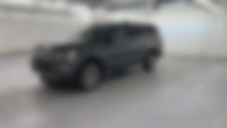 2020 Ford Expedition MAX vehicle photo