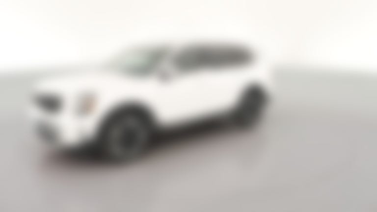 2023 Kia Telluride vehicle photo