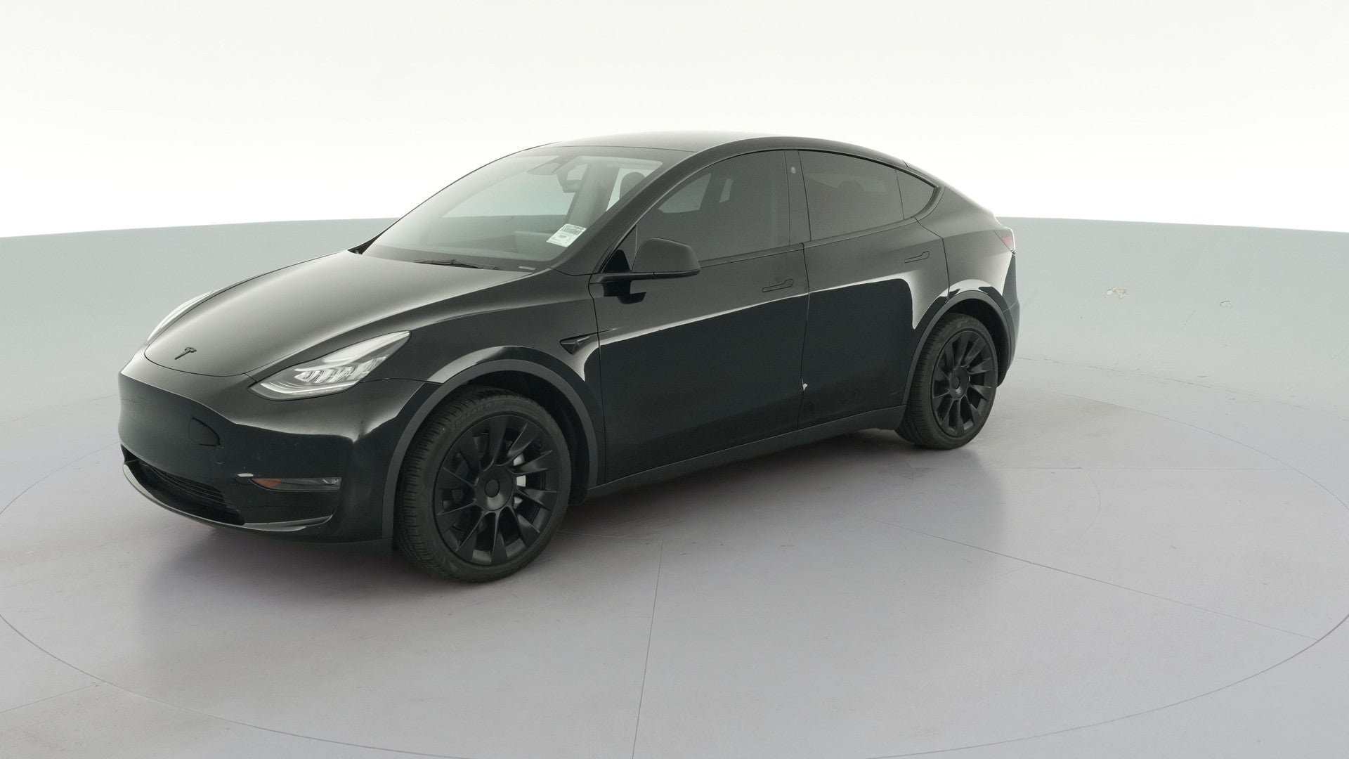 2023 Tesla Model Y vehicle photo
