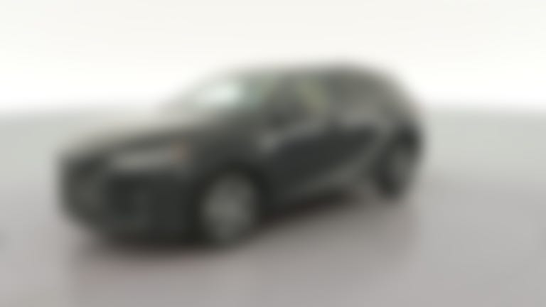 2025 Lexus RX vehicle photo
