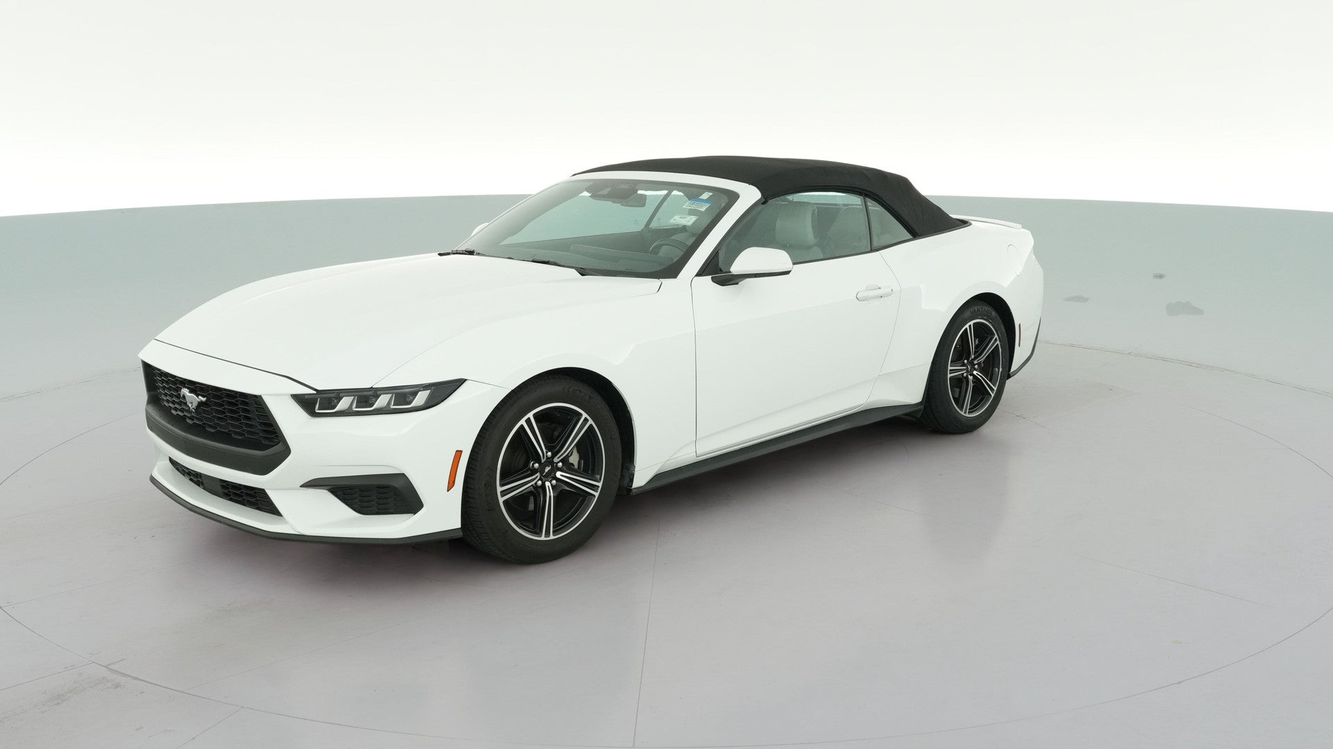 2024 Ford Mustang vehicle photo
