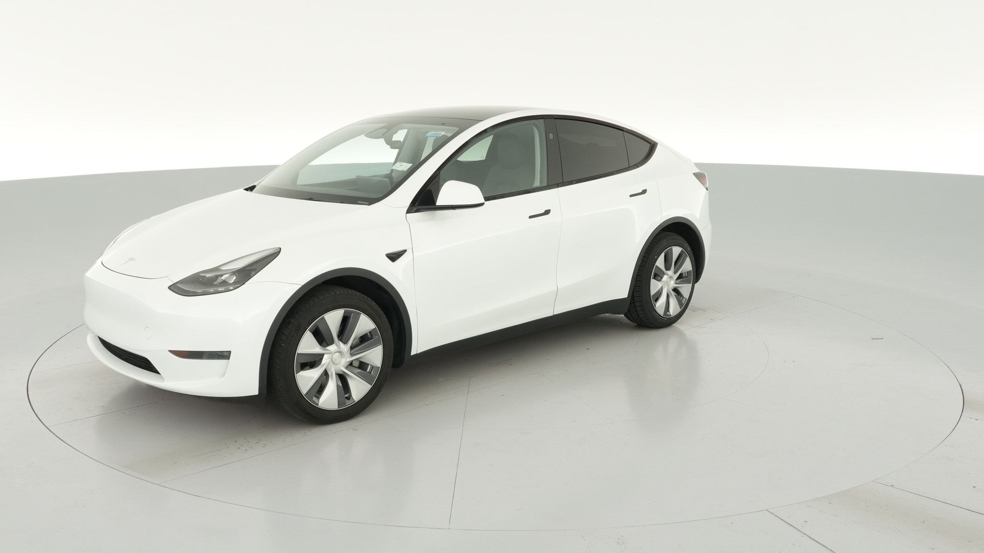 2023 Tesla Model Y vehicle photo