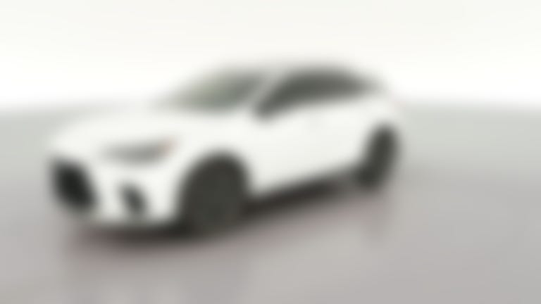 2024 Lexus RX vehicle photo