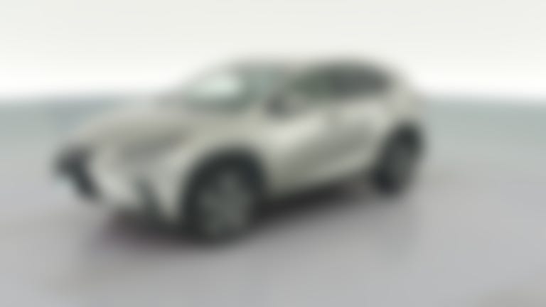 2019 Lexus NX vehicle photo