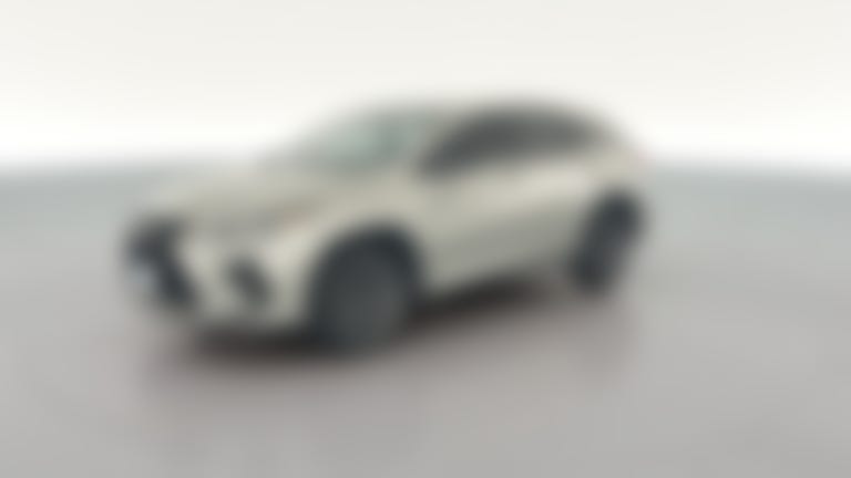 2020 Lexus RX vehicle photo