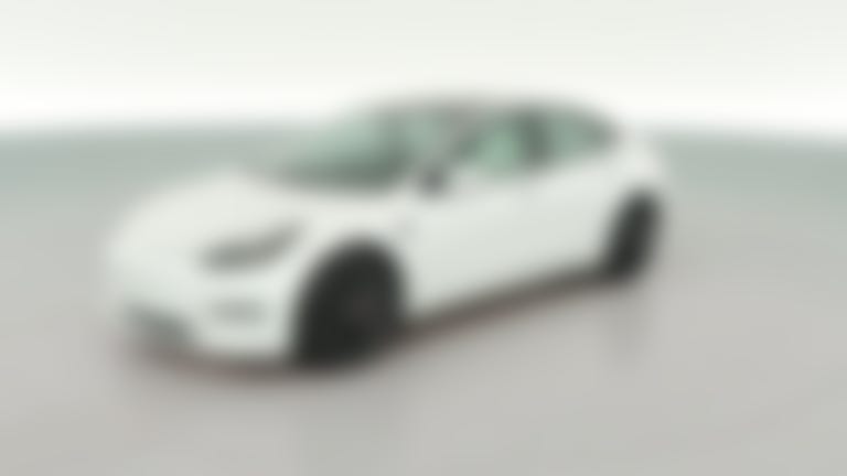 2021 Tesla Model 3 vehicle photo