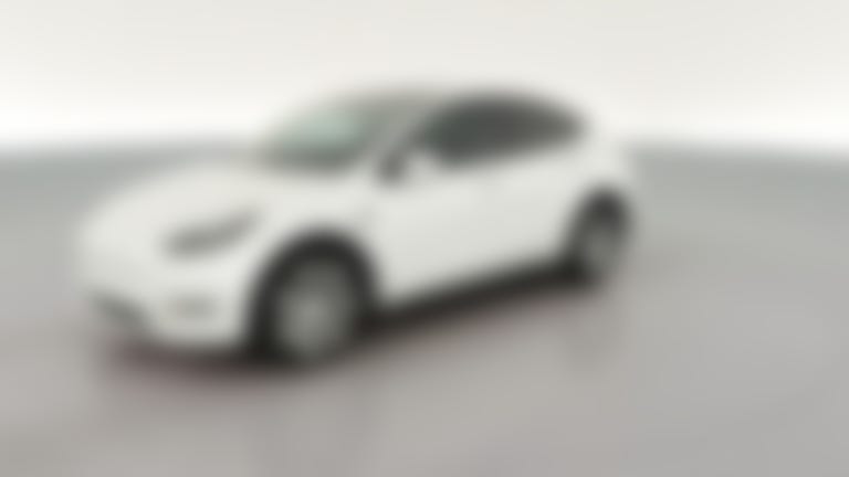 2023 Tesla Model Y vehicle photo