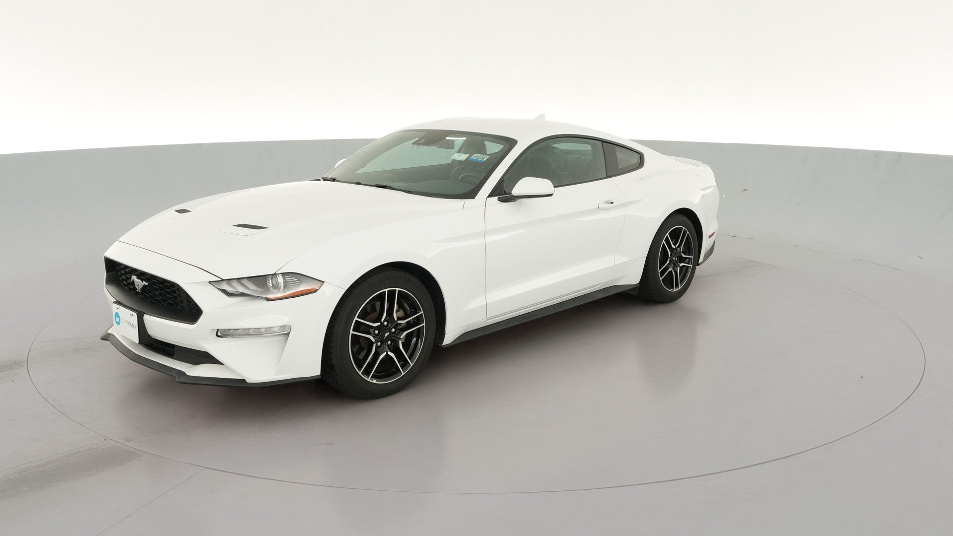 2022 Ford Mustang vehicle photo