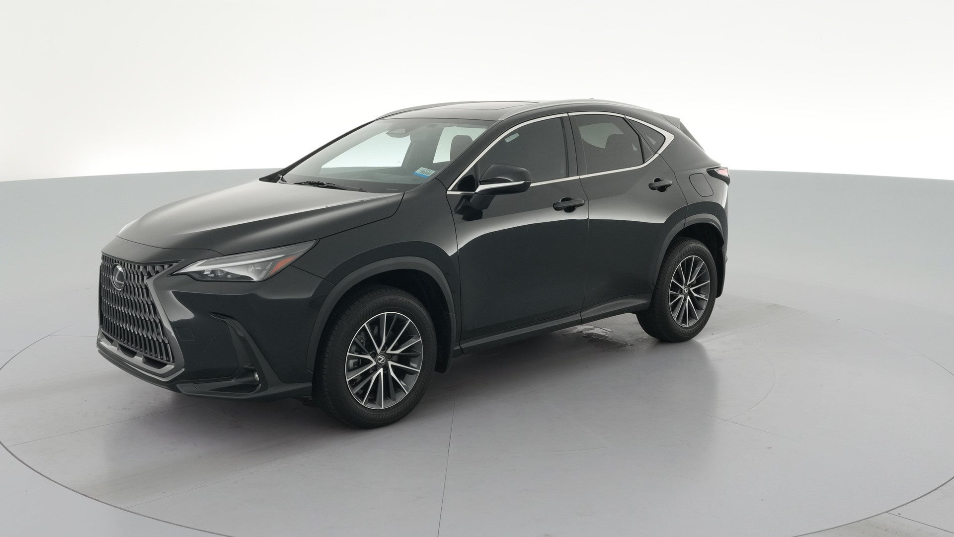 2025 Lexus NX vehicle photo