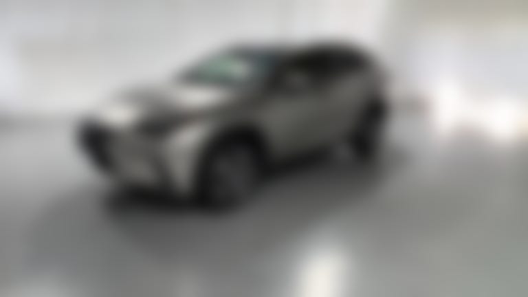 2018 Lexus NX vehicle photo