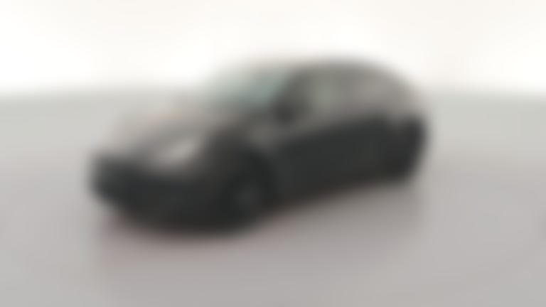 2023 Tesla Model Y vehicle photo