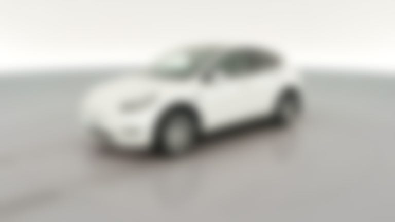 2021 Tesla Model Y vehicle photo