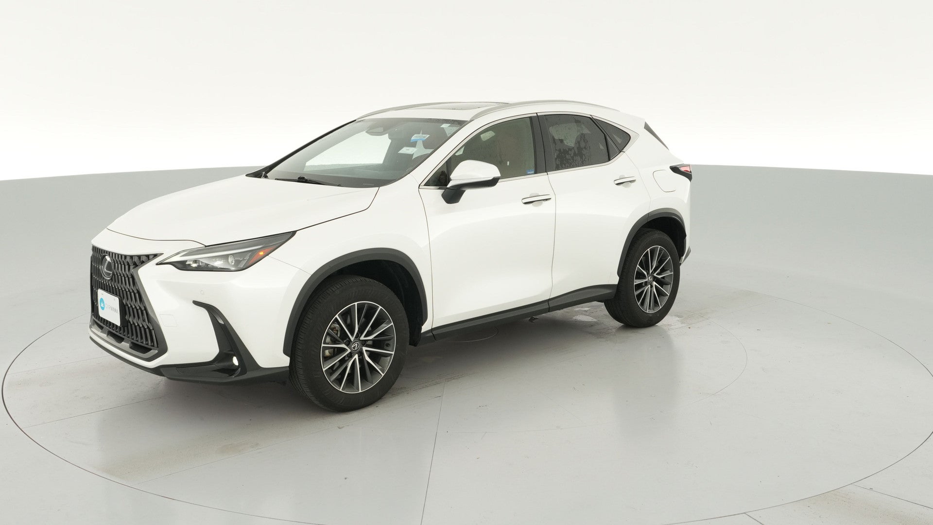 2024 Lexus NX vehicle photo