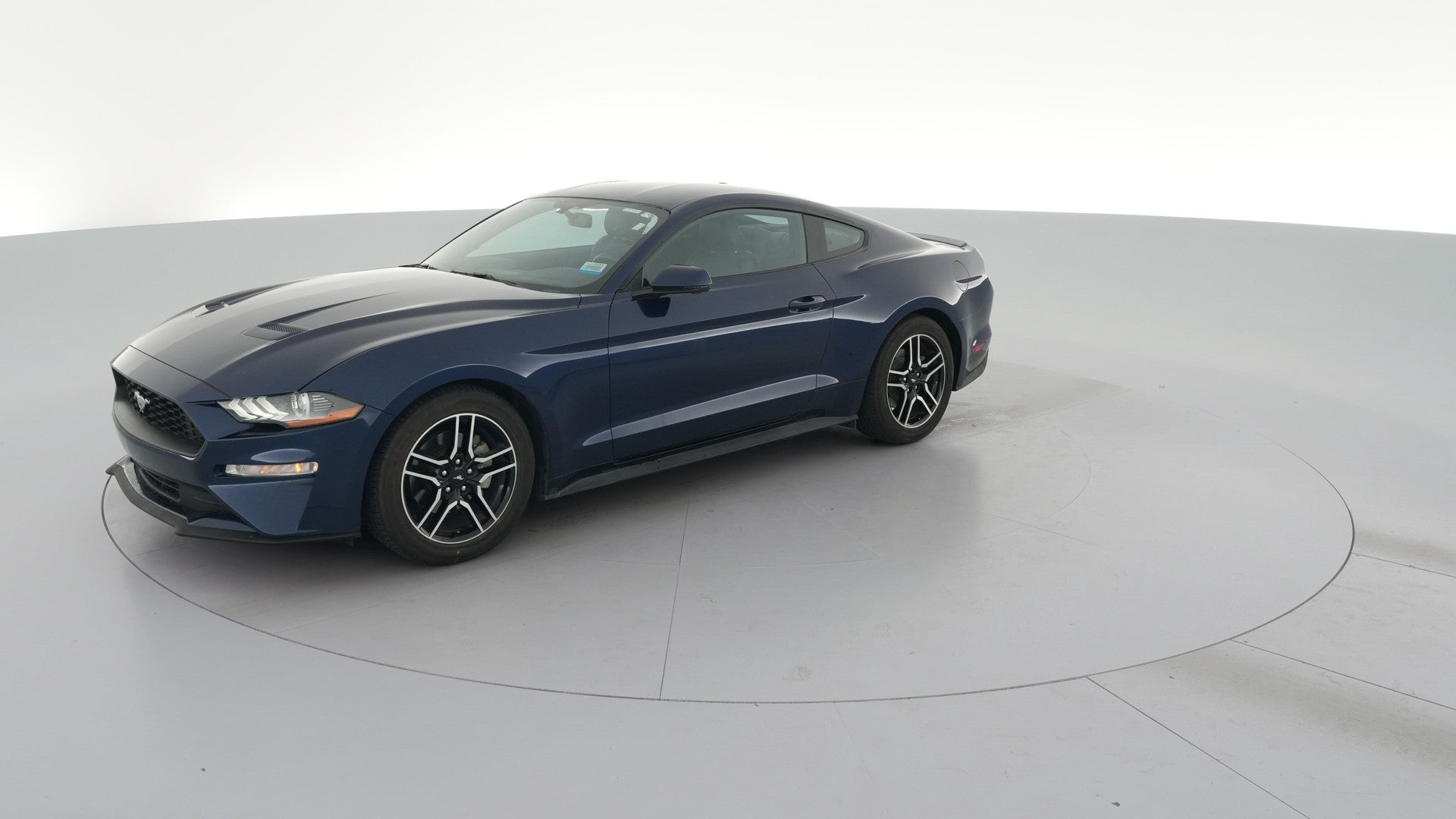2019 Ford Mustang vehicle photo