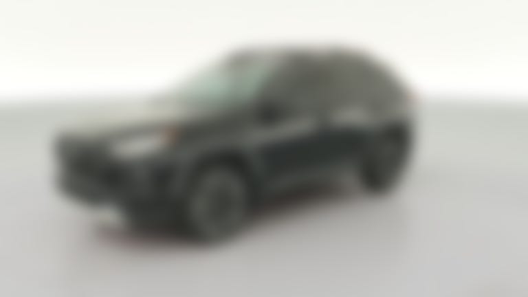 2019 Toyota RAV4 vehicle photo