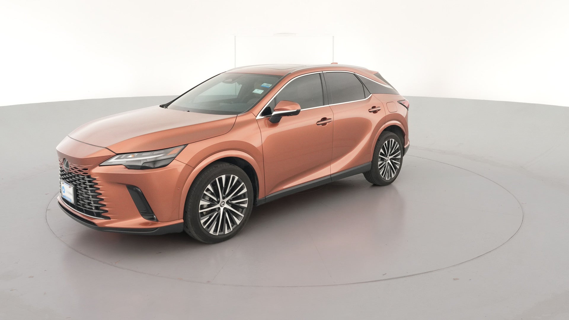 2024 Lexus RX vehicle photo