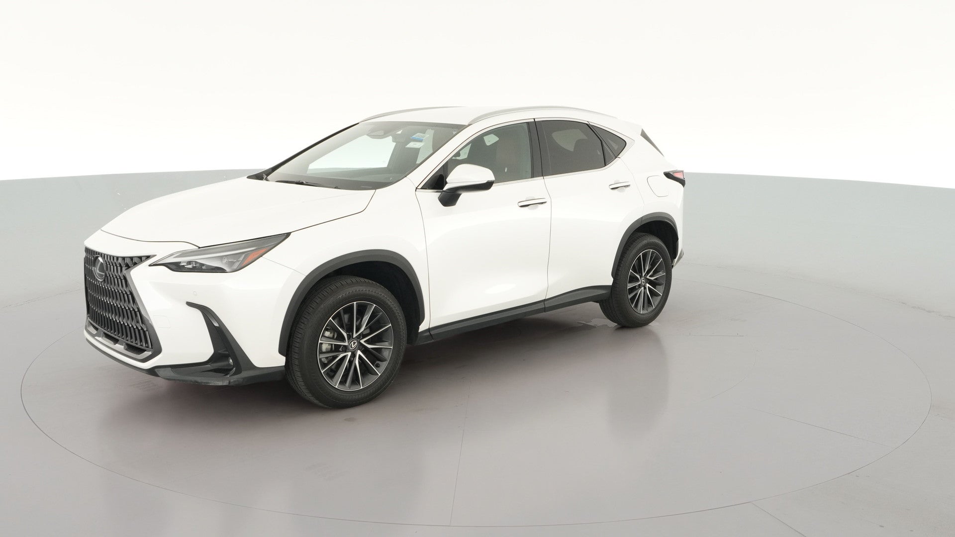 2025 Lexus NX vehicle photo