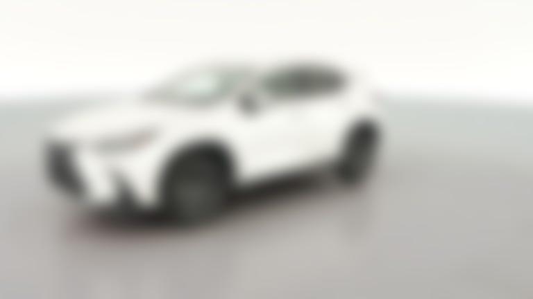 2025 Lexus NX vehicle photo