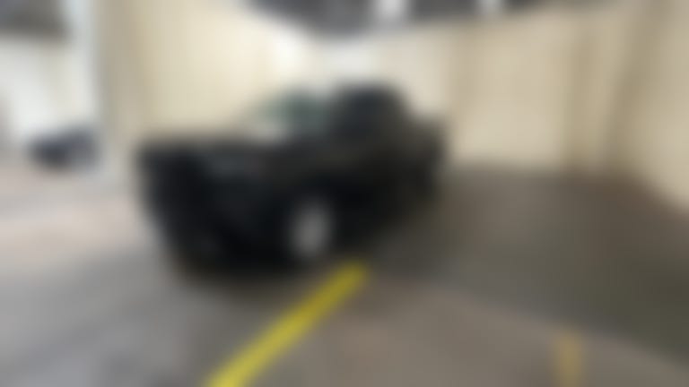 2019 Chevrolet Silverado 1500 Double Cab vehicle photo
