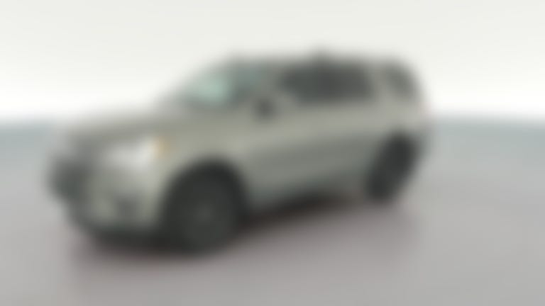 2019 Ford Expedition vehicle photo