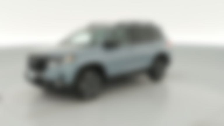 2023 Honda Passport vehicle photo