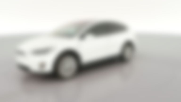 2019 Tesla Model X vehicle photo