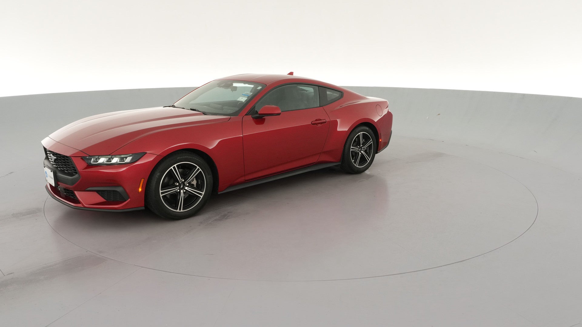 2024 Ford Mustang vehicle photo