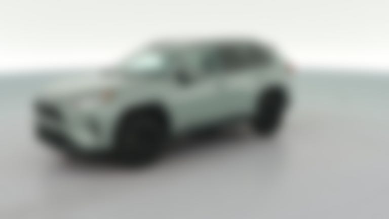 2020 Toyota RAV4 vehicle photo