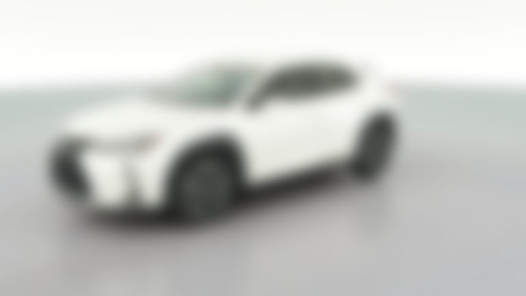 2019 Lexus UX vehicle photo
