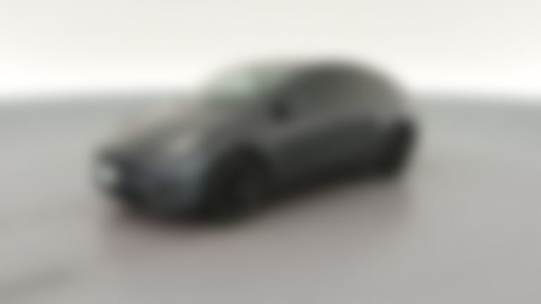 2023 Tesla Model Y vehicle photo