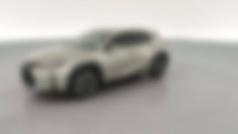 2021 Lexus UX vehicle photo