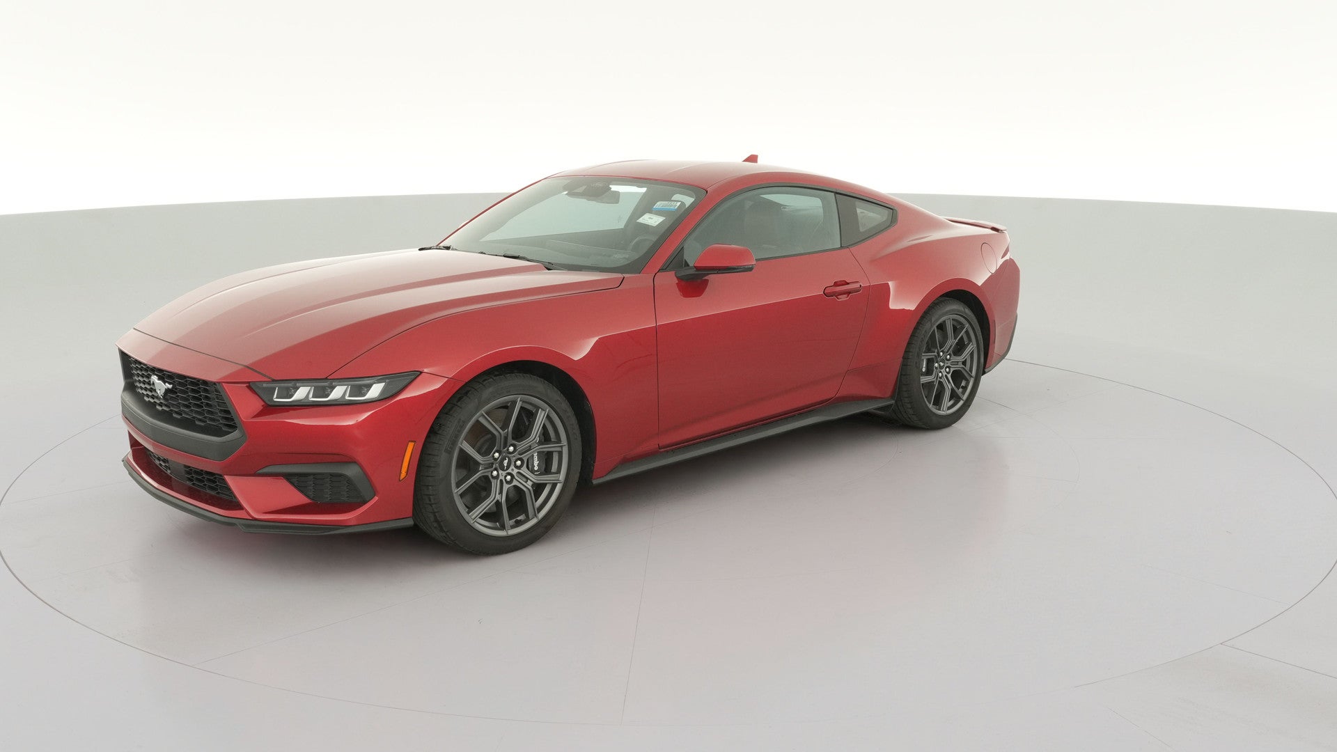 2024 Ford Mustang vehicle photo