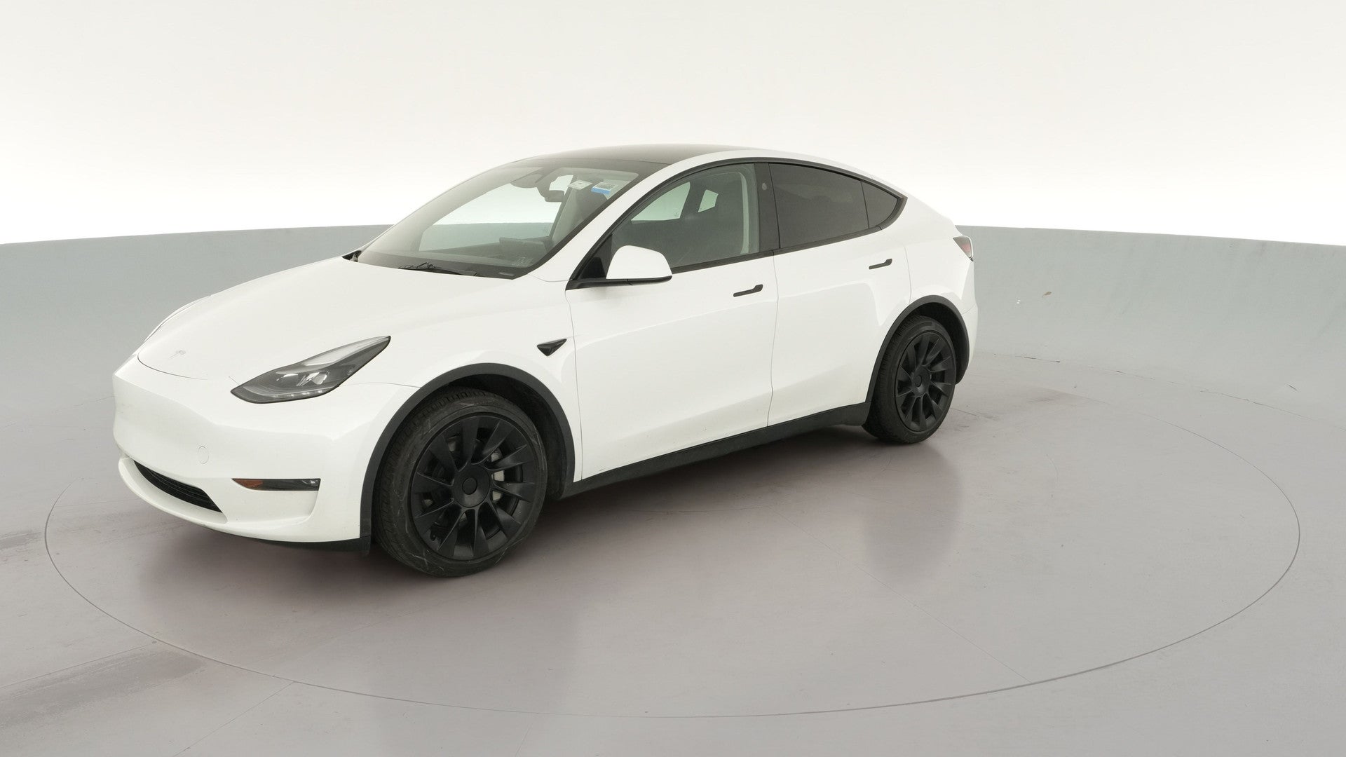 2023 Tesla Model Y vehicle photo